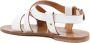 Dee Ocleppo Gesp Sandalen voor Zonnige Avonturen White Dames - Thumbnail 3