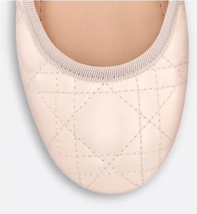 Dior Balletstijl Ballerina Schoenen Pink Dames