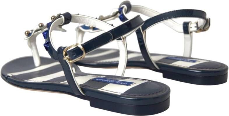 Dolce & Gabbana Blauwe Gestreepte Platte Sandalen Multicolor Dames