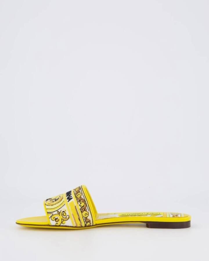 Dolce & Gabbana Dames Platte Slides Yellow Dames