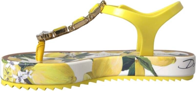 Dolce & Gabbana Gele Citroen Beachwear Flats Sandalen Yellow Dames