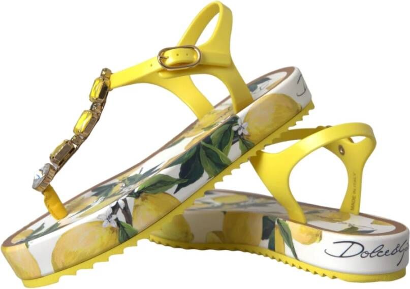 Dolce & Gabbana Gele Citroen Beachwear Flats Sandalen Yellow Dames