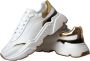 Dolce & Gabbana Gouden Leren Lage Sneakers met Logo Details White Heren - Thumbnail 5