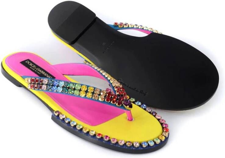 Dolce & Gabbana Kleurrijke kristalversierde slippers Multicolor Dames