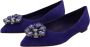 Dolce & Gabbana Kristalversierde suède ballerina flats Purple Dames - Thumbnail 5