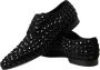 Dolce & Gabbana Elegant Zwart Suède Derby Formele Schoenen Black Heren - Thumbnail 20