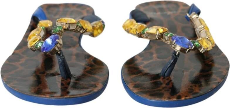 Dolce & Gabbana Luipaardprint Edelsteen Teenslippers Blue Dames