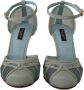 Dolce & Gabbana Blauwe Mesh Enkelband Hakken Sandalen Blue Dames - Thumbnail 4