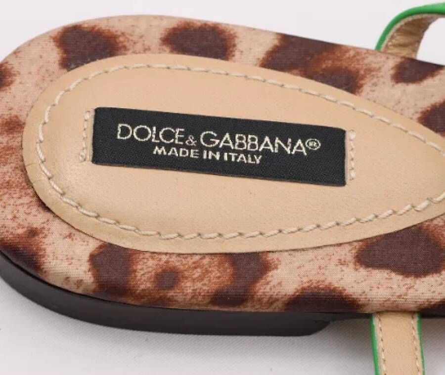 Dolce & Gabbana Pre-owned Canvas sandals Brown Dames