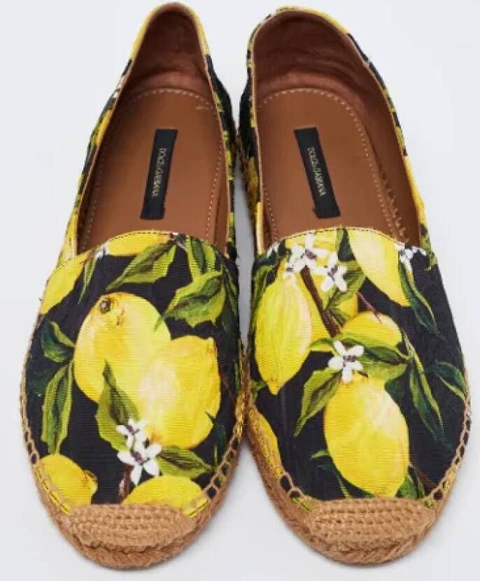 Dolce & Gabbana Pre-owned Fabric flats Multicolor Dames