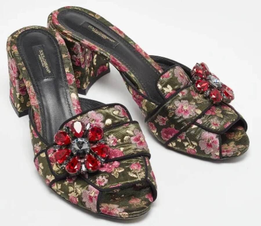 Dolce & Gabbana Pre-owned Fabric sandals Multicolor Dames