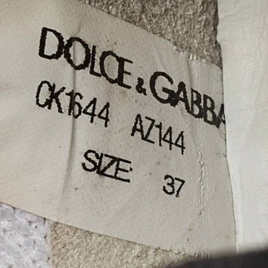 Dolce & Gabbana Pre-owned Fabric sneakers Gray Dames