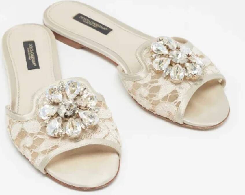 Dolce & Gabbana Pre-owned Lace flats Gray Dames