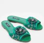 Dolce & Gabbana Pre-owned Lace flats Green Dames - Thumbnail 4