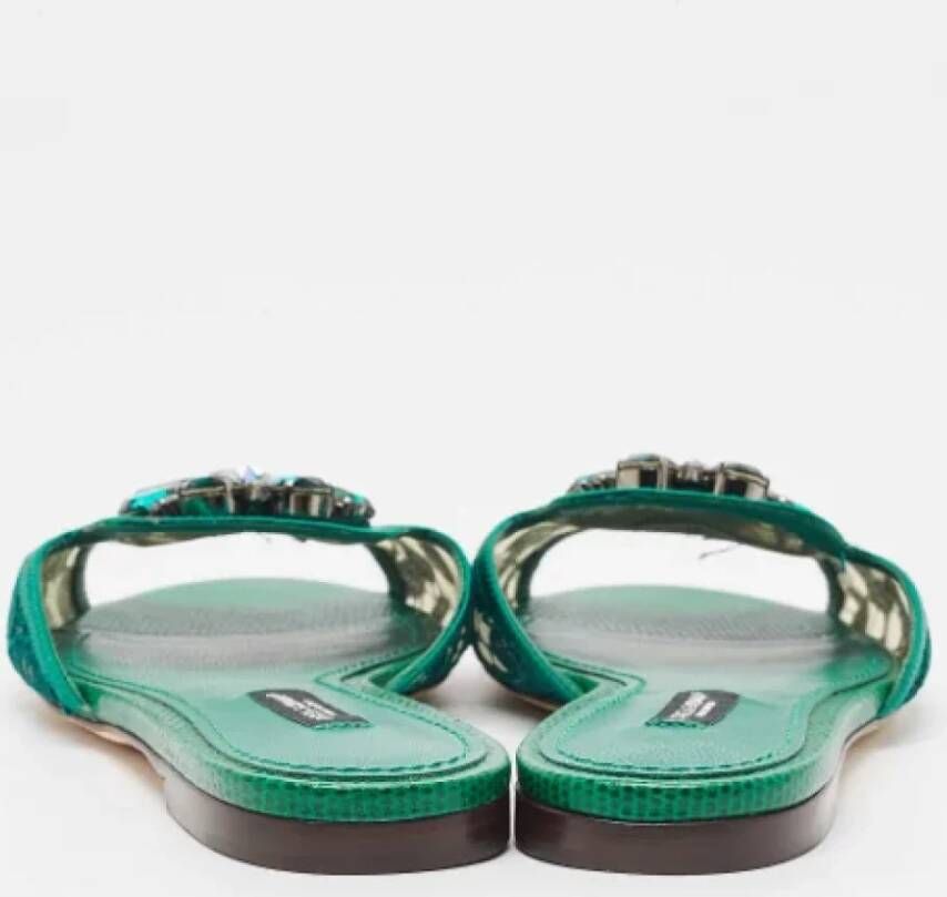 Dolce & Gabbana Pre-owned Lace flats Green Dames