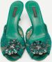 Dolce & Gabbana Pre-owned Lace sandals Green Dames - Thumbnail 3