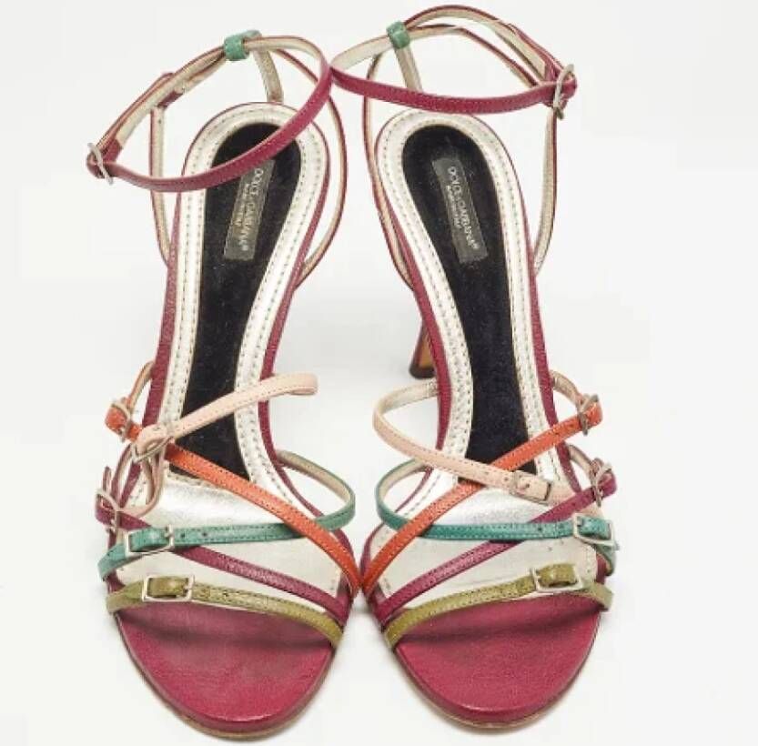 Dolce & Gabbana Pre-owned Leather sandals Multicolor Dames