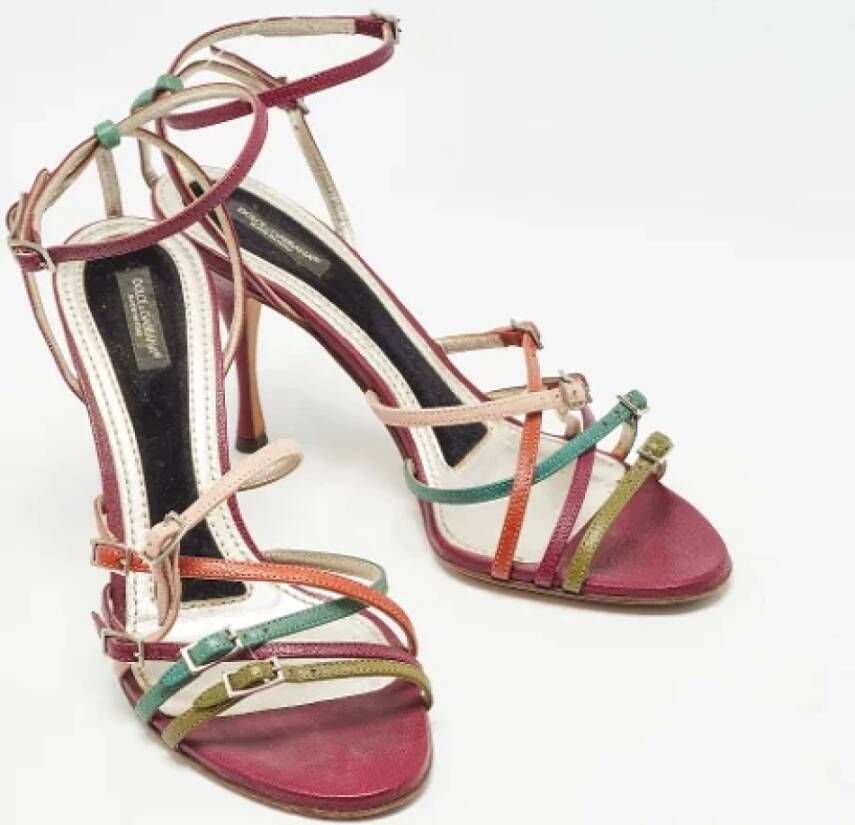 Dolce & Gabbana Pre-owned Leather sandals Multicolor Dames