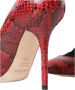 Dolce & Gabbana Rode Leren Kant Amandelvormige Pumps Multicolor Dames - Thumbnail 15