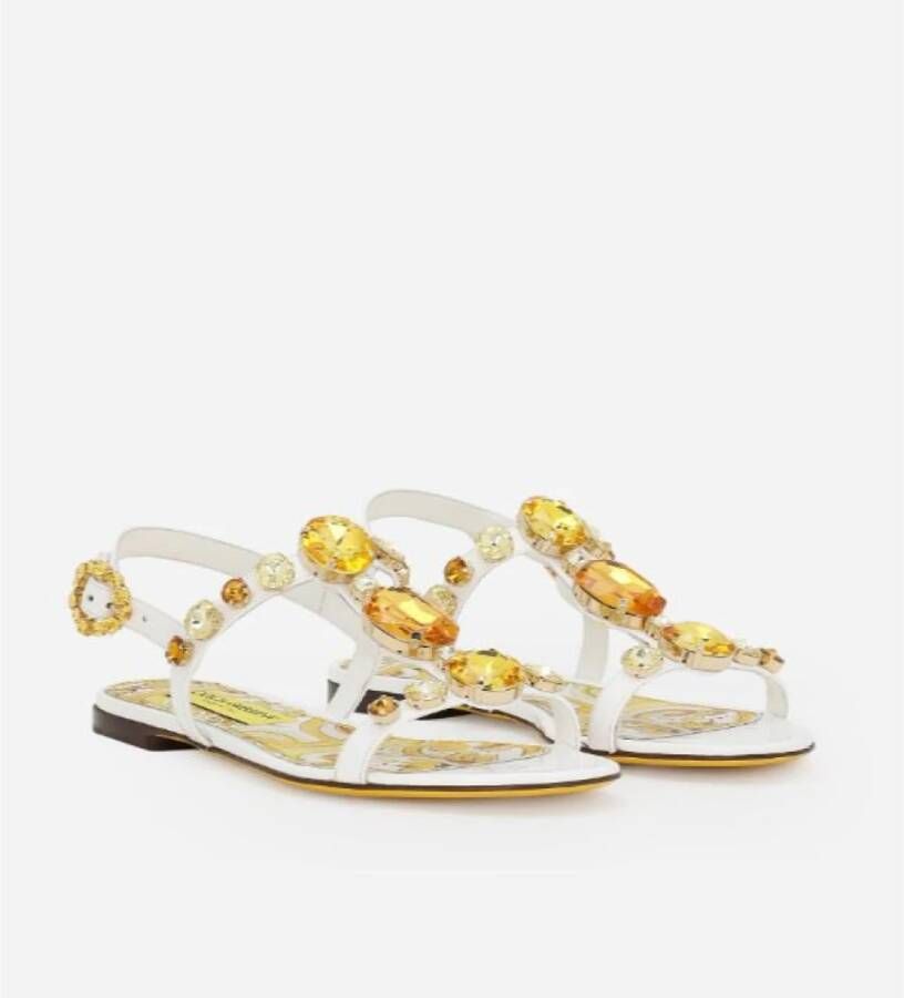 Dolce & Gabbana Versierde Sandalen in Lakleer Multicolor Dames