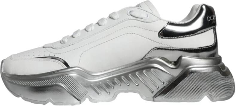 Dolce & Gabbana Wit Zilver Lage Top Sneakers Rubberen Zool White Heren