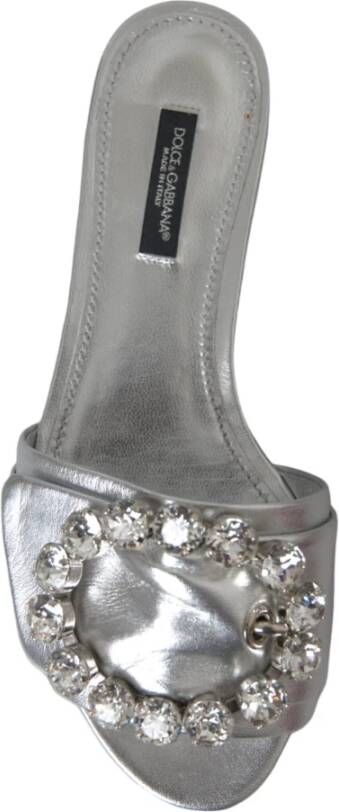 Dolce & Gabbana Zilveren Kristal Leren Platte Sandalen Gray Dames