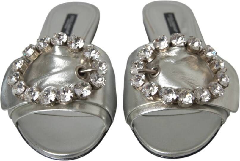 Dolce & Gabbana Zilveren Kristal Leren Platte Sandalen Gray Dames