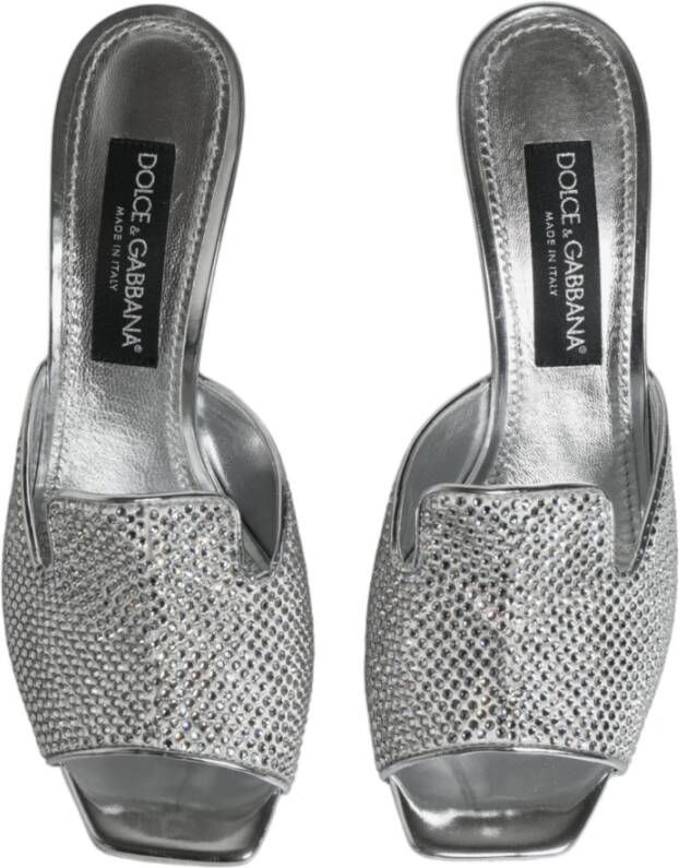 Dolce & Gabbana Zilveren Logo Hakken Slide Sandalen Gray Dames