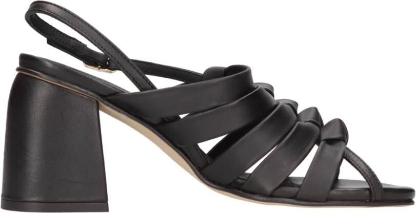 Elvio Zanon Sandalen Zwart Black Dames