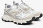 Estro Dames Melkachtige & Zilveren Sneakers gemaakt van Gemengde Materialen met een Flexibele Zool ES8 Er00114671 Gray Dames - Thumbnail 2