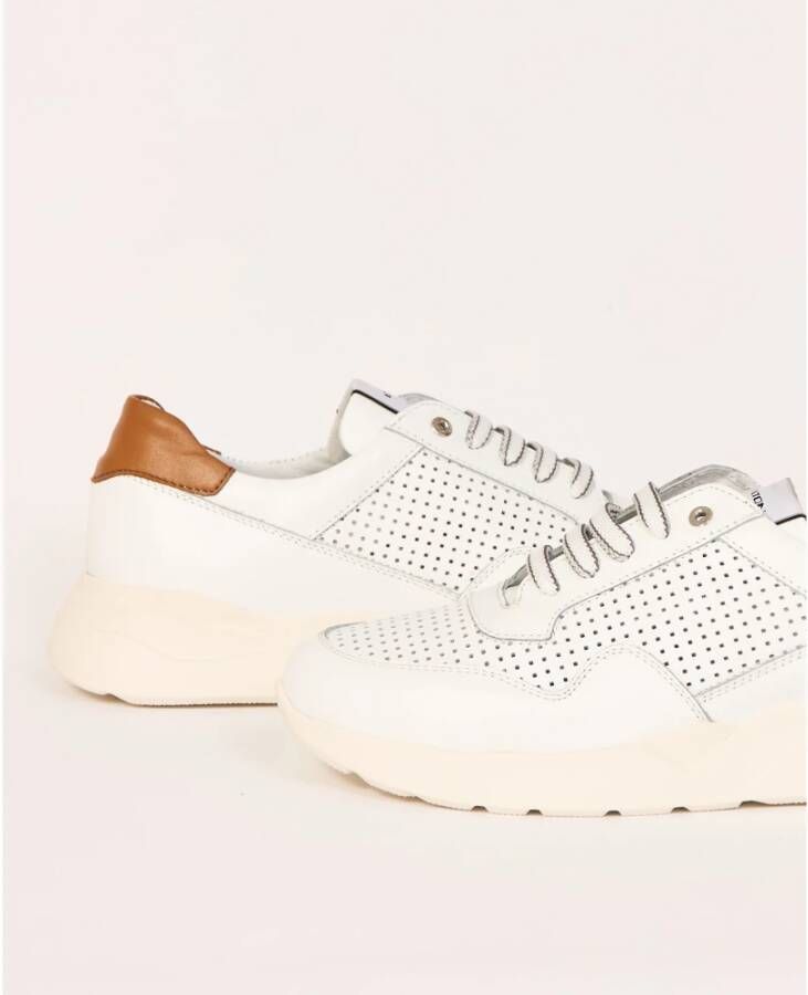 Exton Witte Geperforeerde Leren Sneakers White Heren