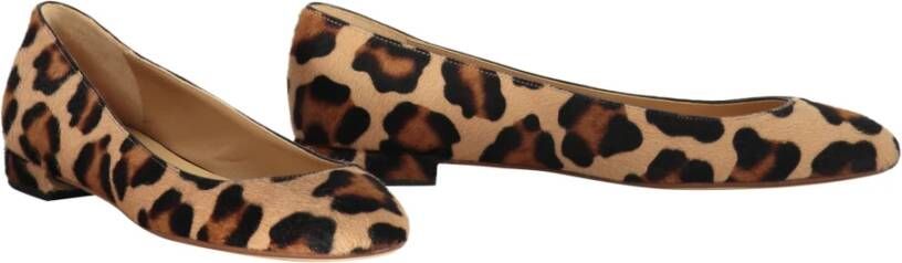 Francesco Russo Leopard Ballet Flats Multicolor Dames