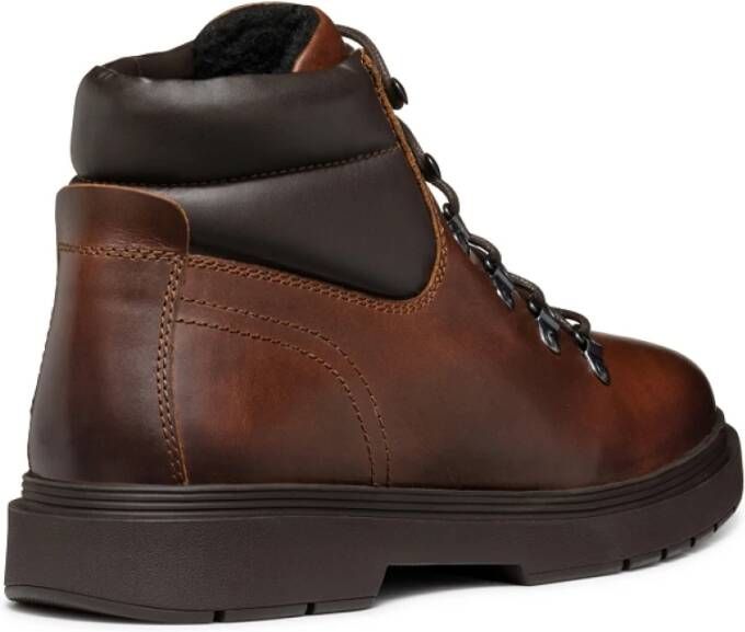 Geox Calaita Schoenen Brown Heren