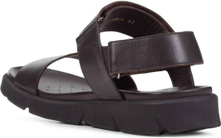 Geox Flat Sandals Bruin Heren