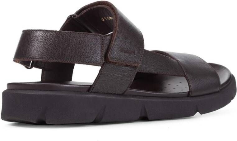 Geox Flat Sandals Bruin Heren