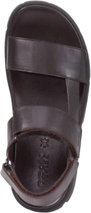 Geox Flat Sandals Bruin Heren