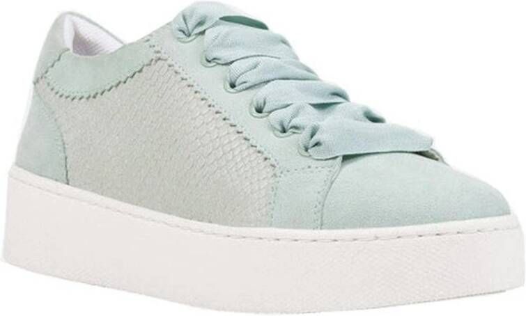 Geox schoenen Groen Dames