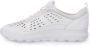 Geox Stijlvolle Damessneakers White Dames - Thumbnail 15