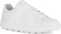 Geox Witte Sneakers Ecub-1 White Heren - Thumbnail 2