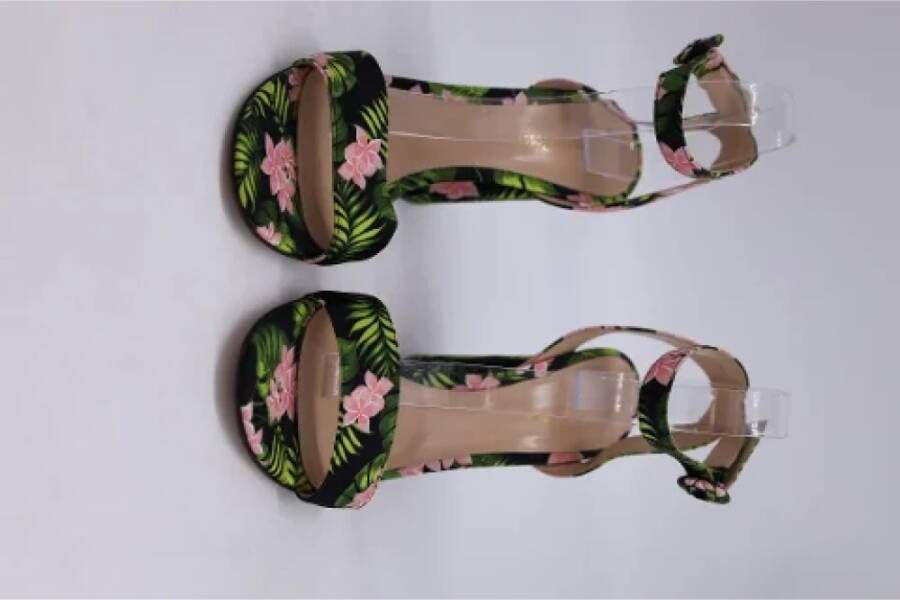 Gianvito Rossi Pre-owned Fabric sandals Multicolor Dames