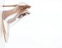 Gianvito Rossi Pre-owned Leather heels White Dames - Thumbnail 9