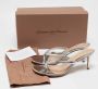 Gianvito Rossi Pre-owned Leather sandals Gray Dames - Thumbnail 9