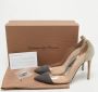 Gianvito Rossi Pre-owned Suede heels Gray Dames - Thumbnail 9