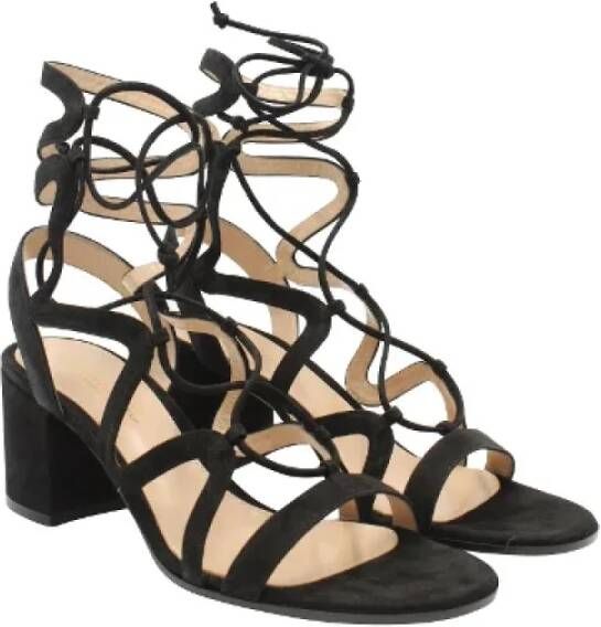 Gianvito Rossi Pre-owned Suede sandals Black Dames