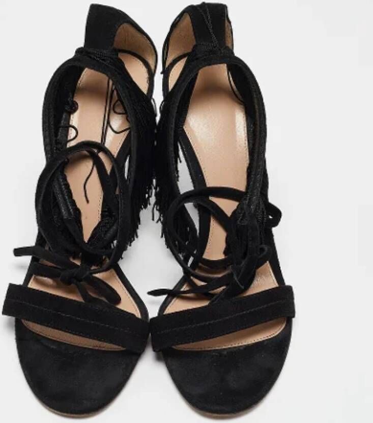 Gianvito Rossi Pre-owned Suede sandals Black Dames