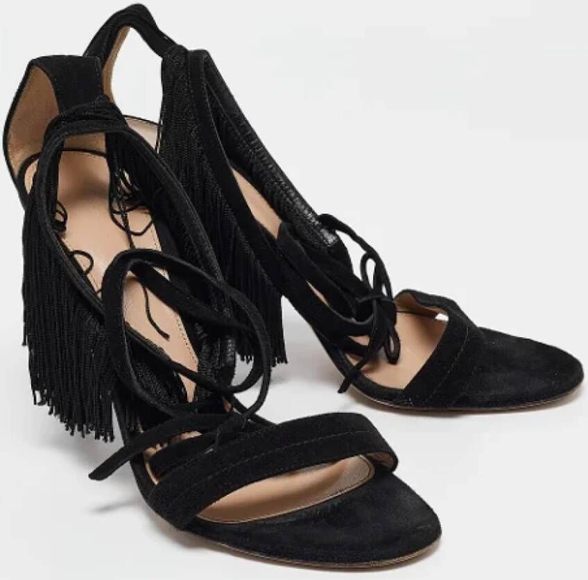 Gianvito Rossi Pre-owned Suede sandals Black Dames