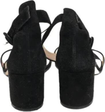 Gianvito Rossi Pre-owned Suede sandals Black Dames