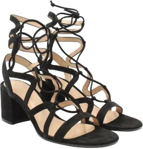 Gianvito Rossi Pre-owned Suede sandals Black Dames