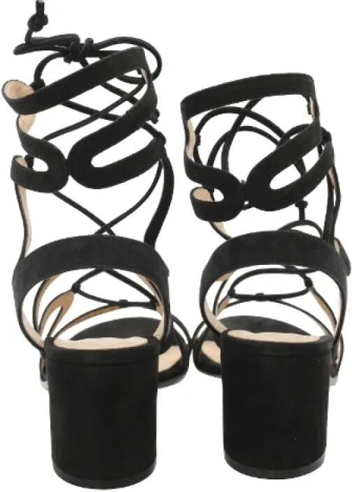 Gianvito Rossi Pre-owned Suede sandals Black Dames