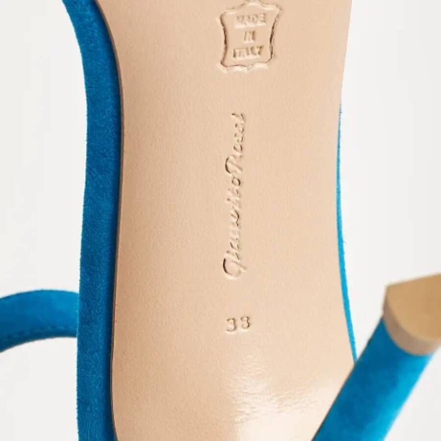 Gianvito Rossi Pre-owned Suede sandals Blue Dames